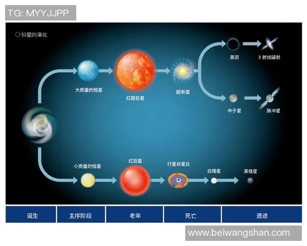 乒乓球深度分析：探寻北京乒乓球队反击战术背后的秘密与技巧
