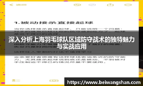 深入分析上海羽毛球队区域防守战术的独特魅力与实战应用