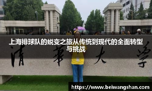 上海排球队的蜕变之旅从传统到现代的全面转型与挑战